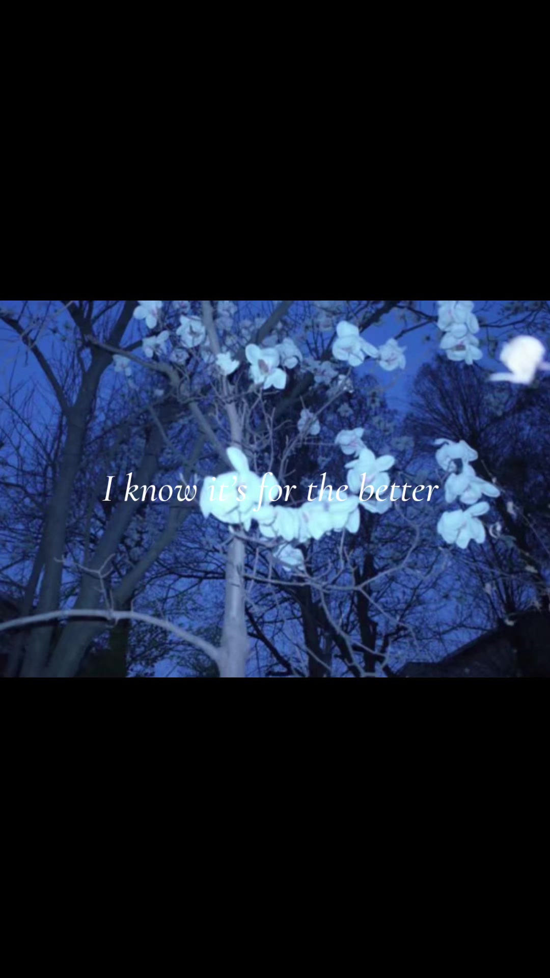 @billie+more