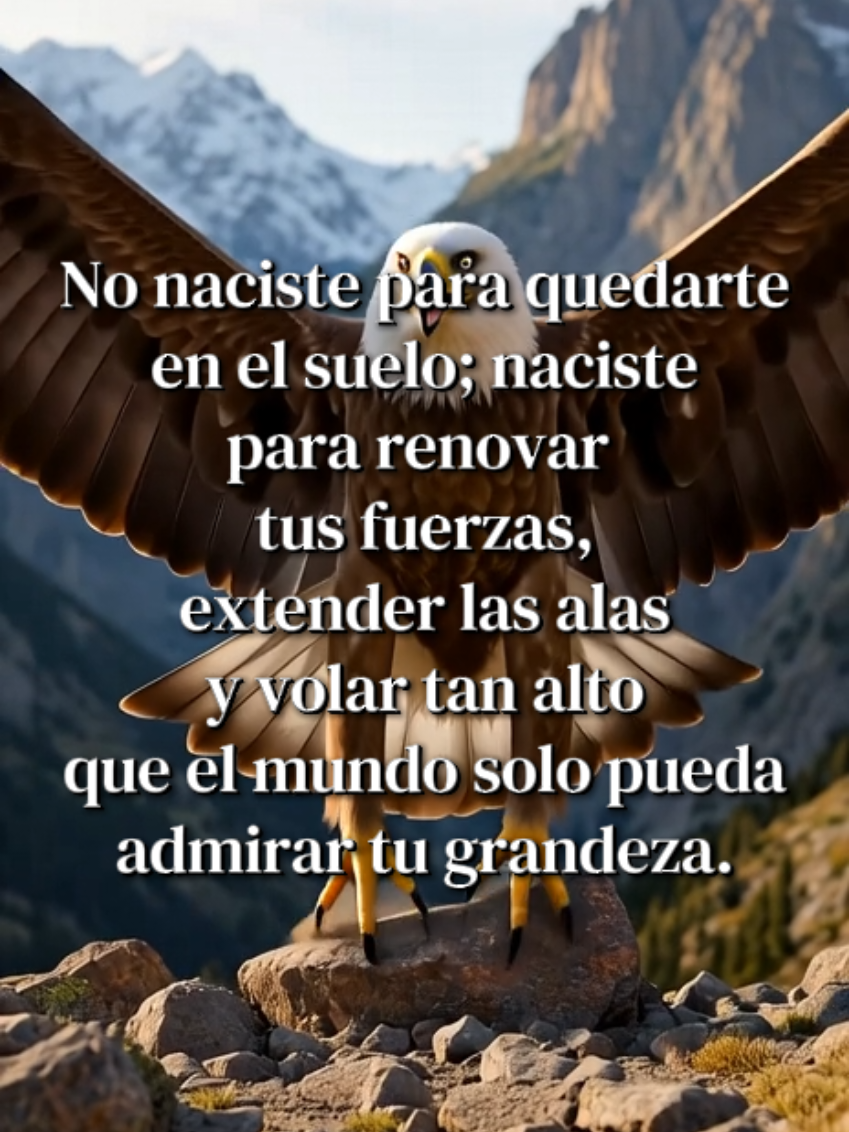 @⭐️josealbert💯networker