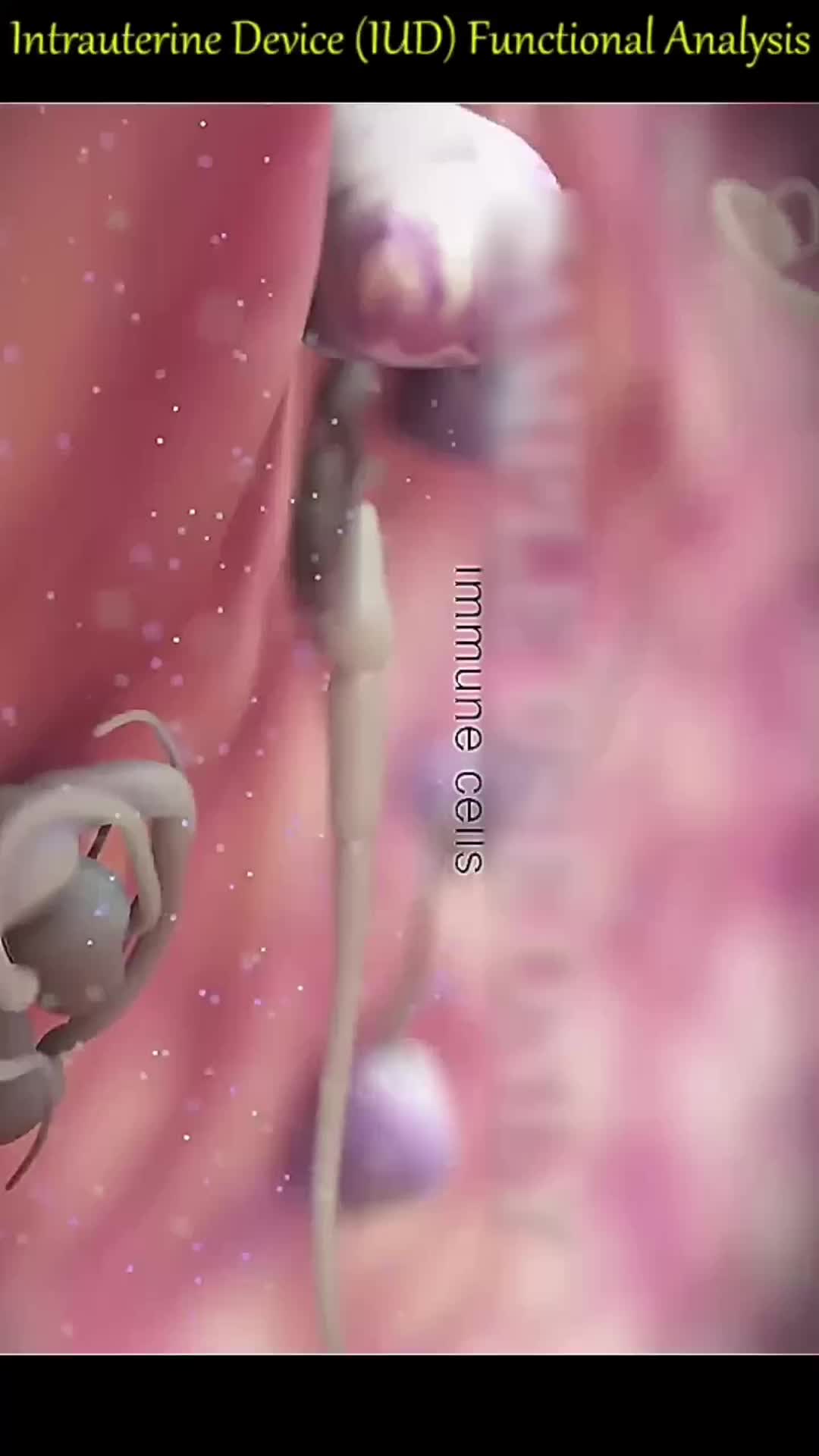 @Science