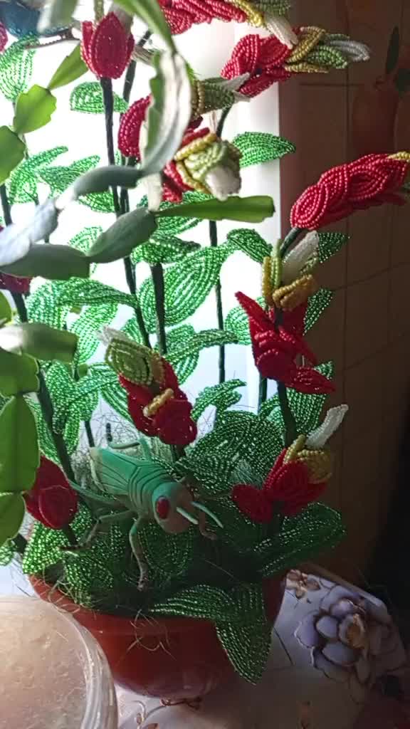 @🌸Василя🌸