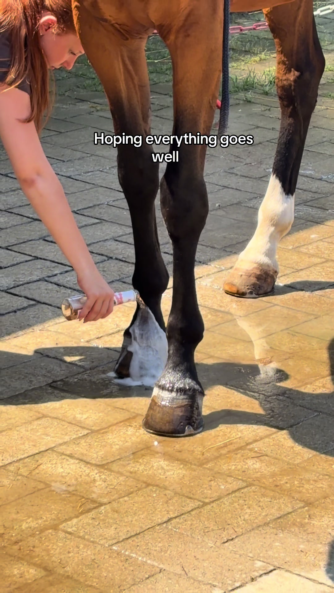 @𝓛𝓾𝓷𝓪