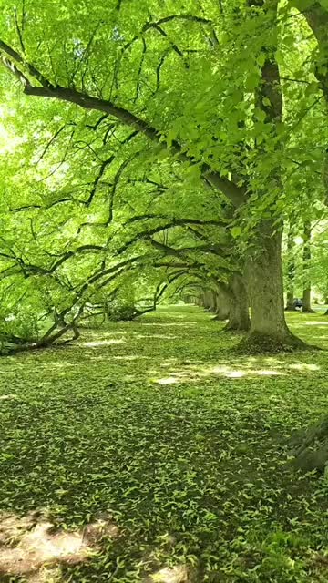 @واثقه بالله