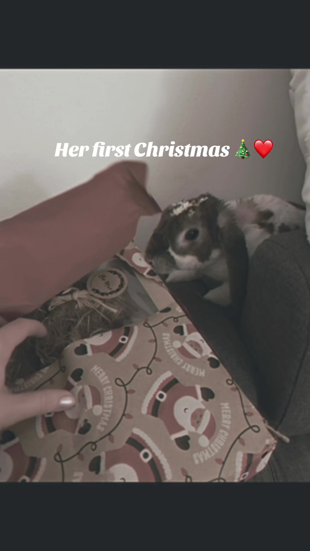 @AjnaMJ