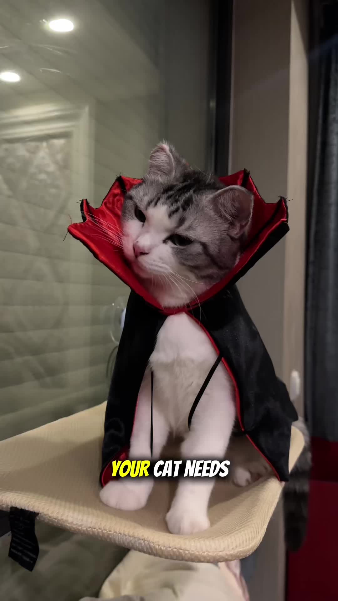 @SpookyBox