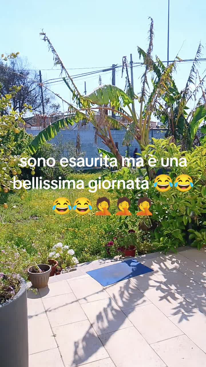 @Silvy Mazz