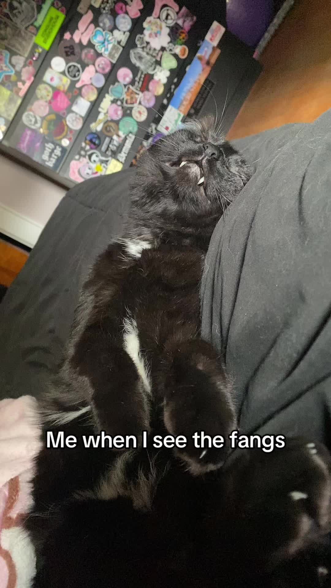 @sewntogethergirl