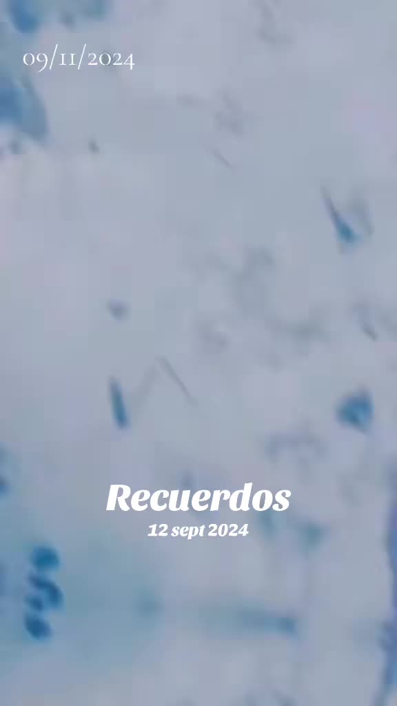 @CONSENTIDA_JMCOLOMBIA