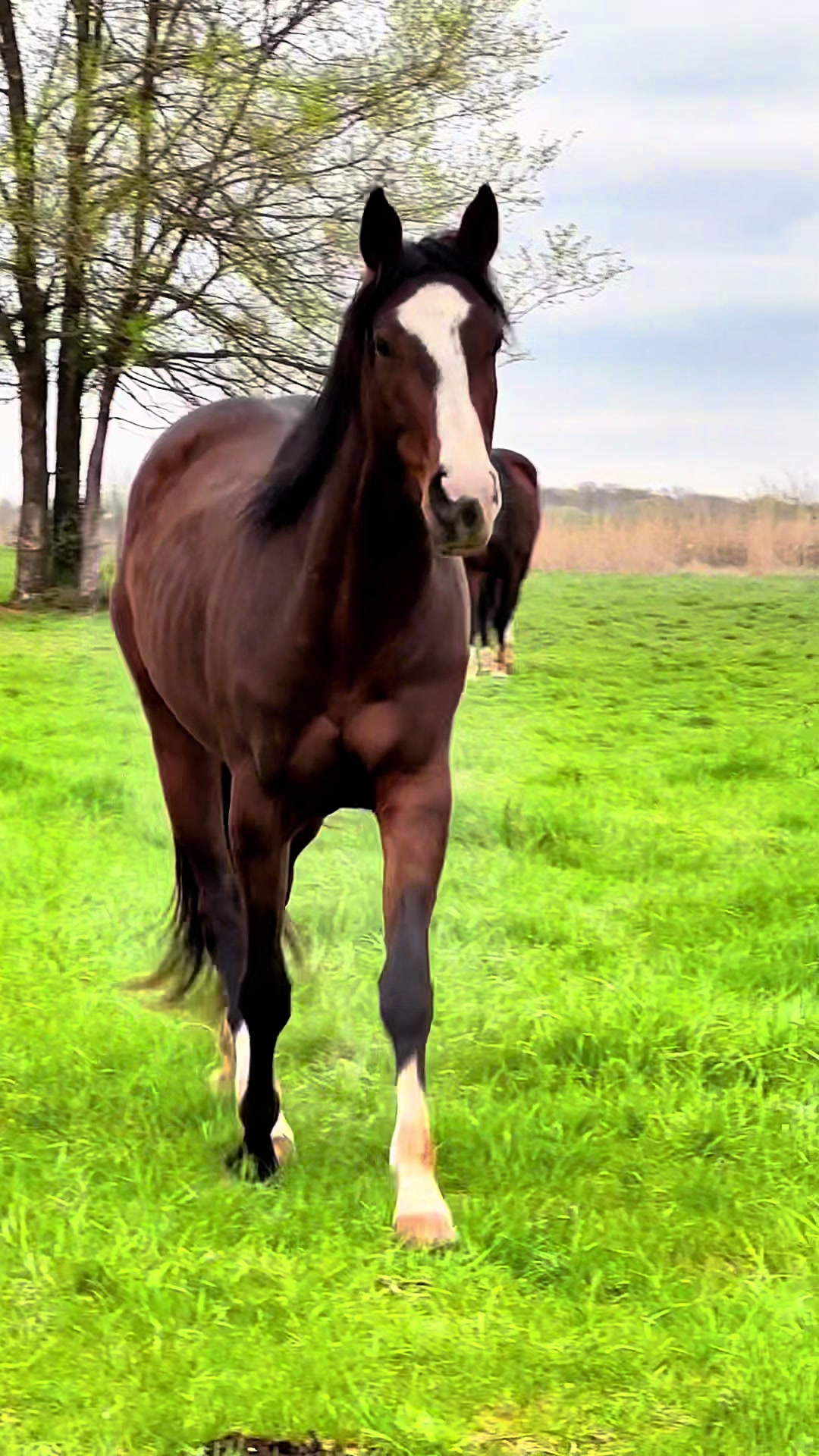 @eastwood_homestead