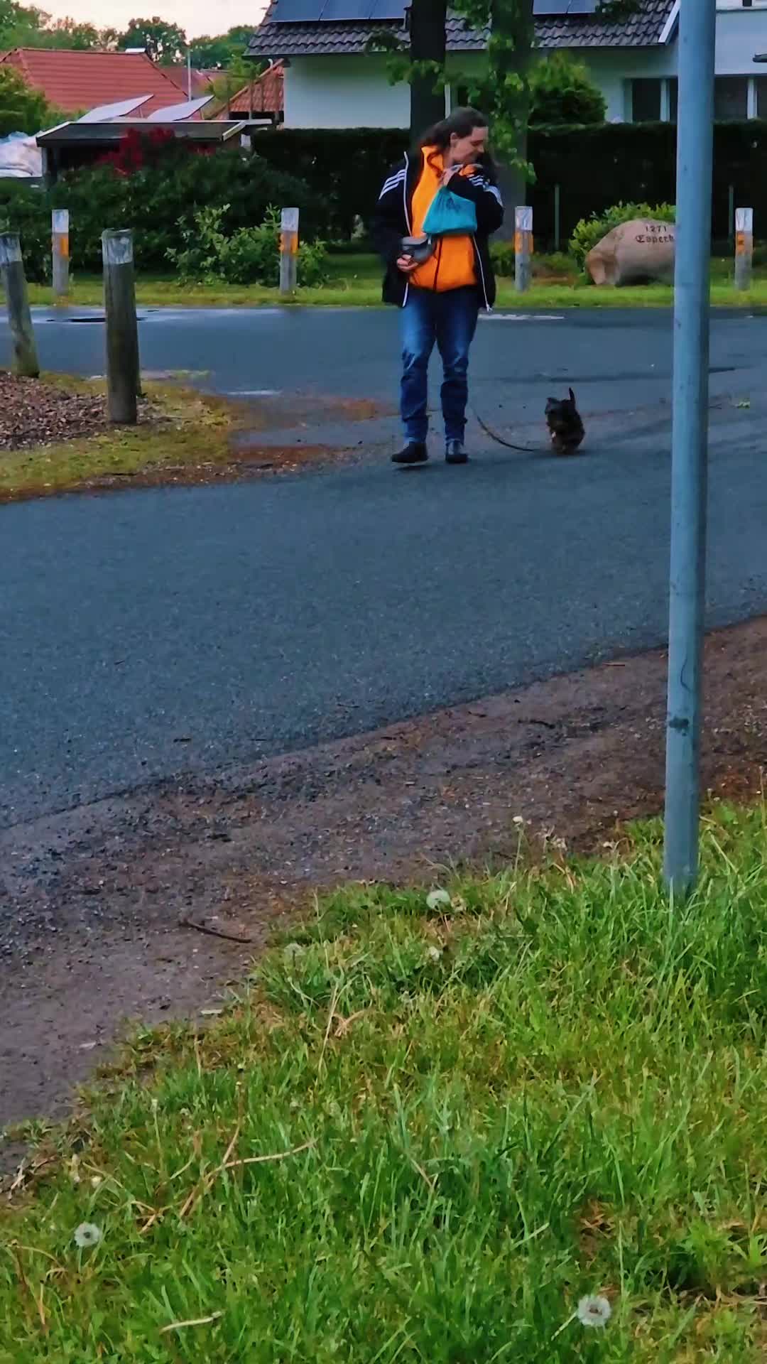 @🐾🐕 Mo 🐕🐾