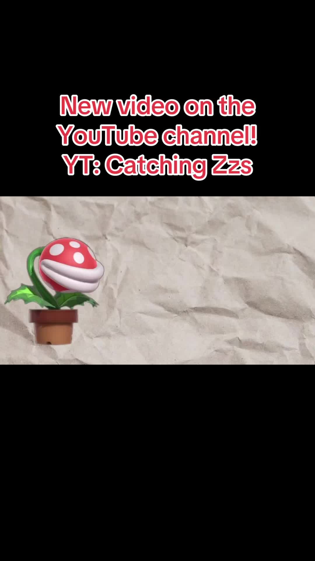 @Catching Zzs