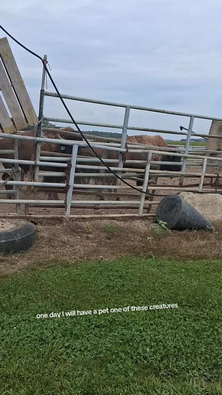 @Taylor | Sah{farm}m