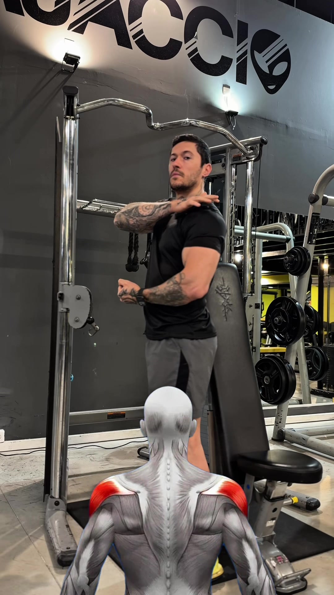 @Nicolas Loi - Personal Trainer