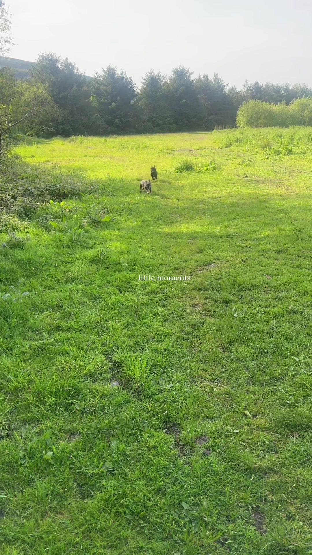 @❤️Buldożkowa Mama❤️