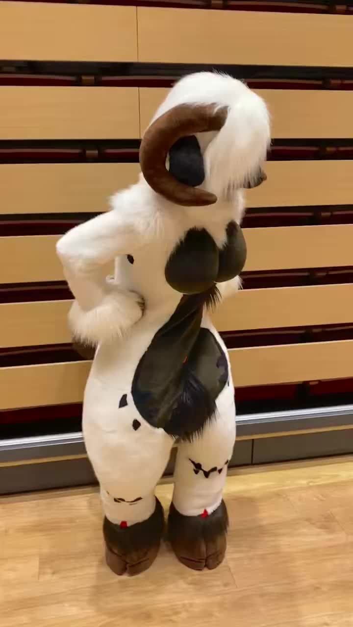 @radywolf