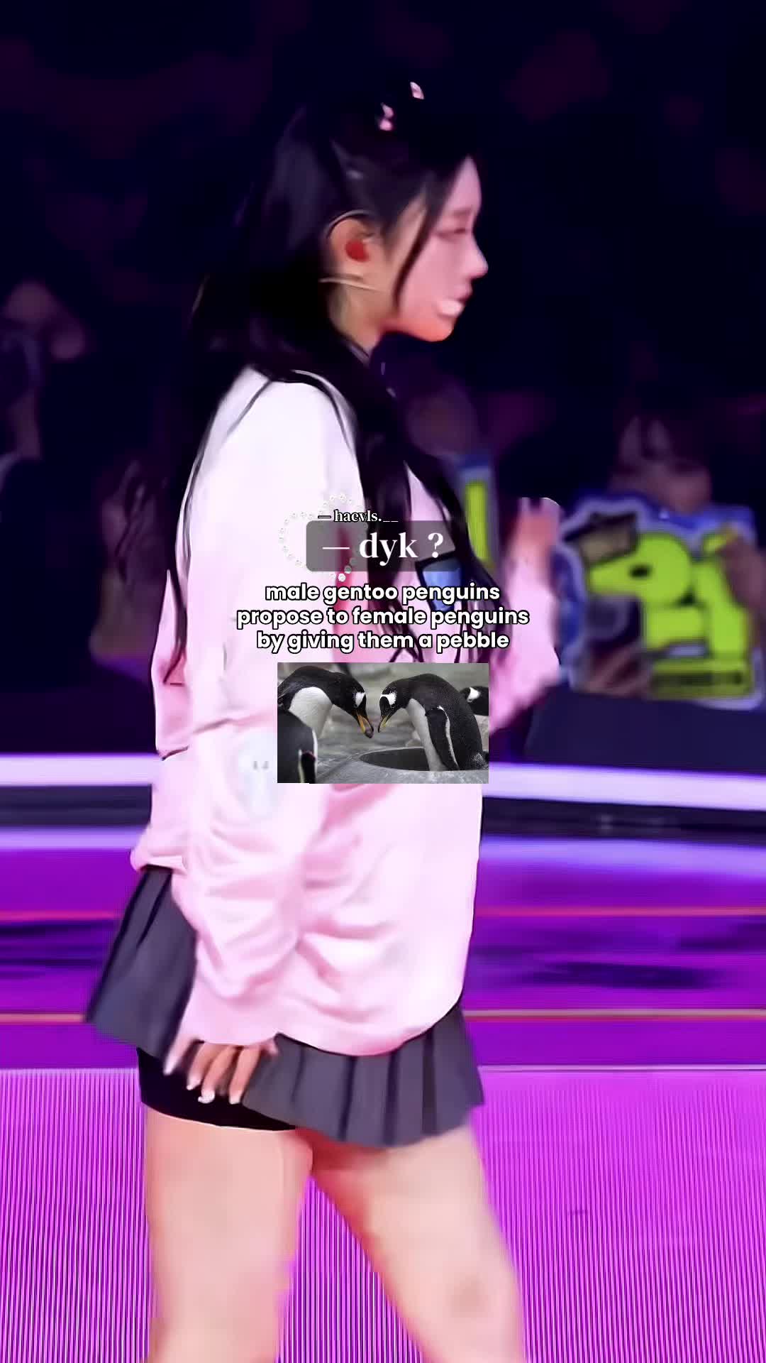 @𓐇ᩧ ♡⃘ ݄ჩ͟𐐼̫𝖾𝗏͒ᥣ𐓯ׄ ᩙ𑁬ཾ ۫