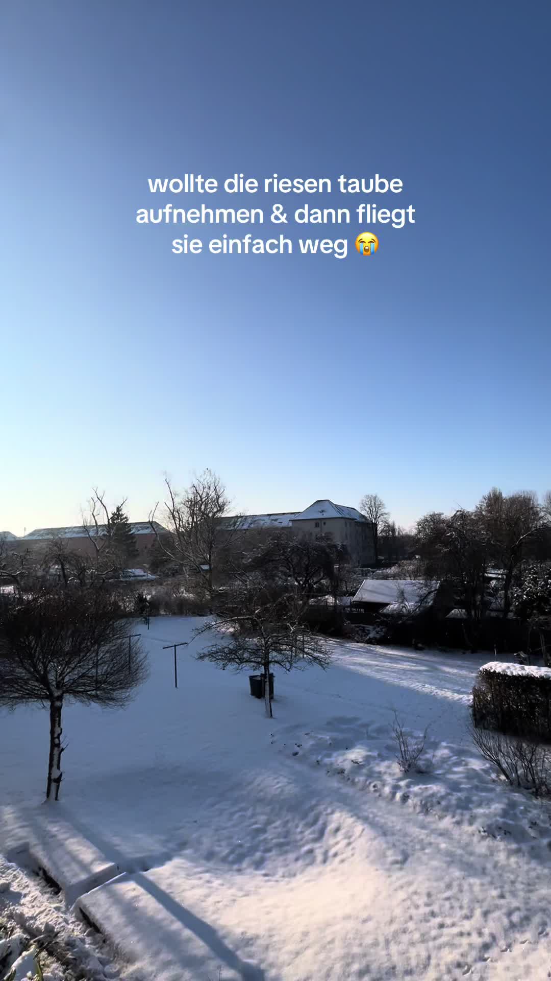 @natimachts