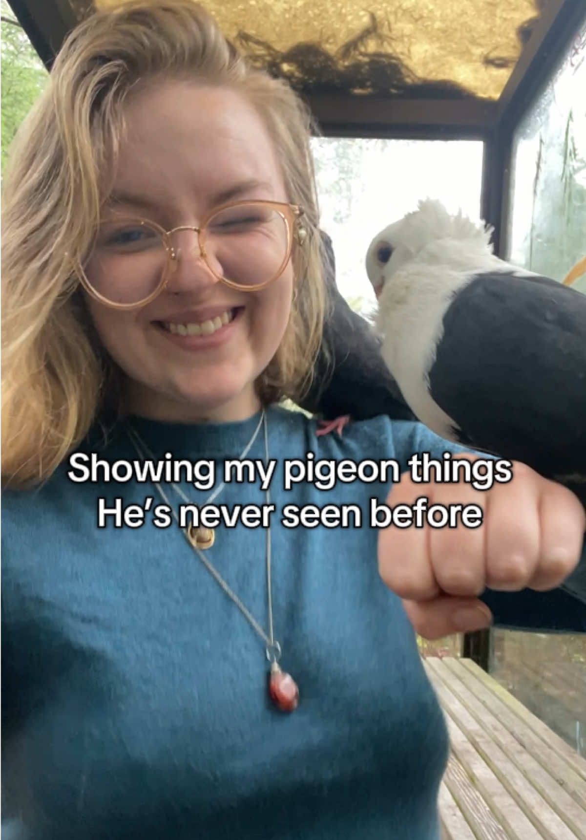 @Ava Paloma🕊️
