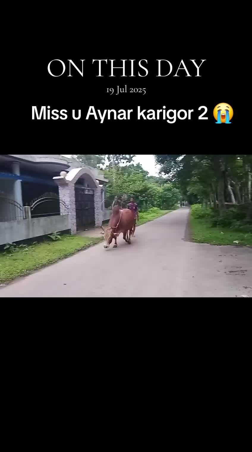 @Aynar karigor 🎧🖤