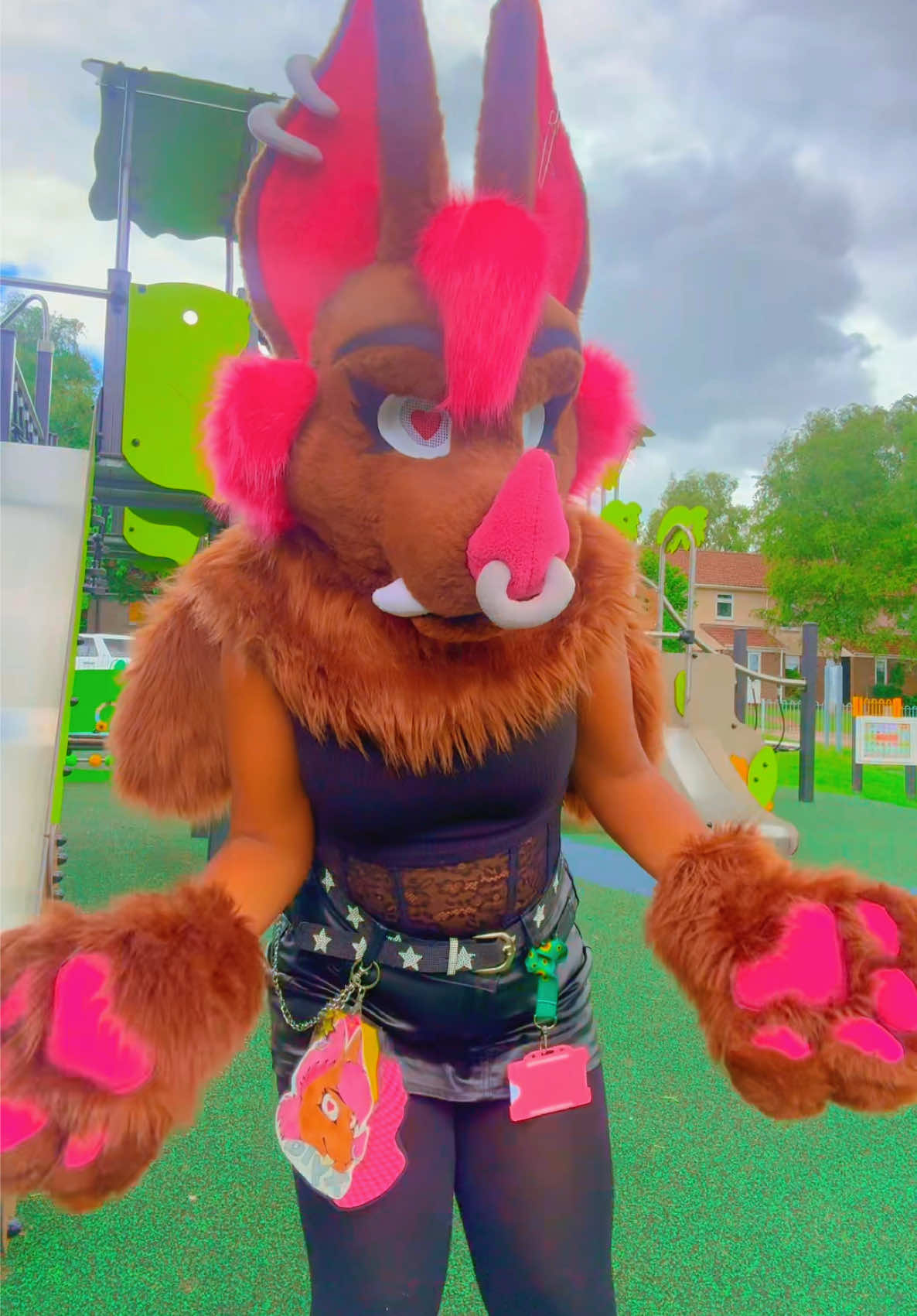 @★彡 ~ paws! ~ ★彡