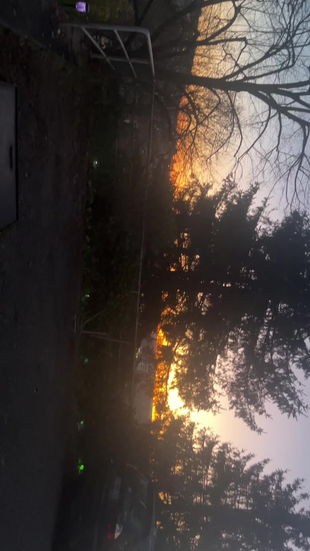 @user362102311409
