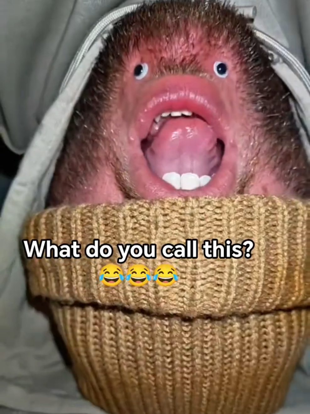 @Chinfaced
