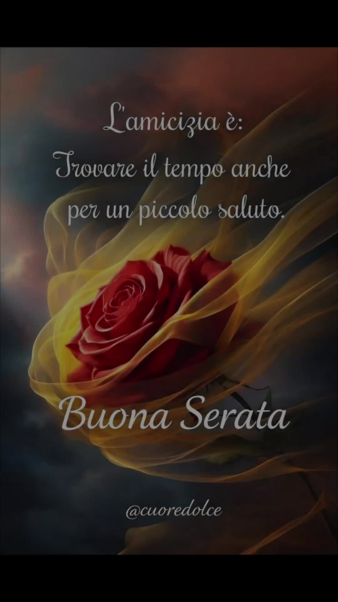 @alessandramarchi726