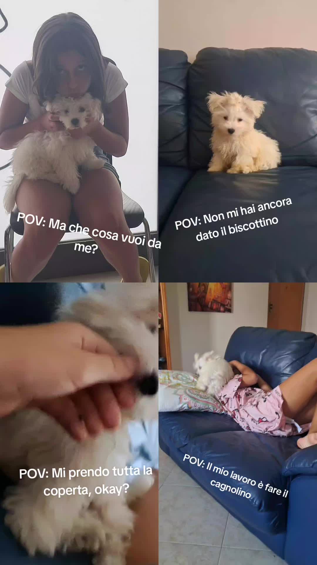 @ioleeeeee
