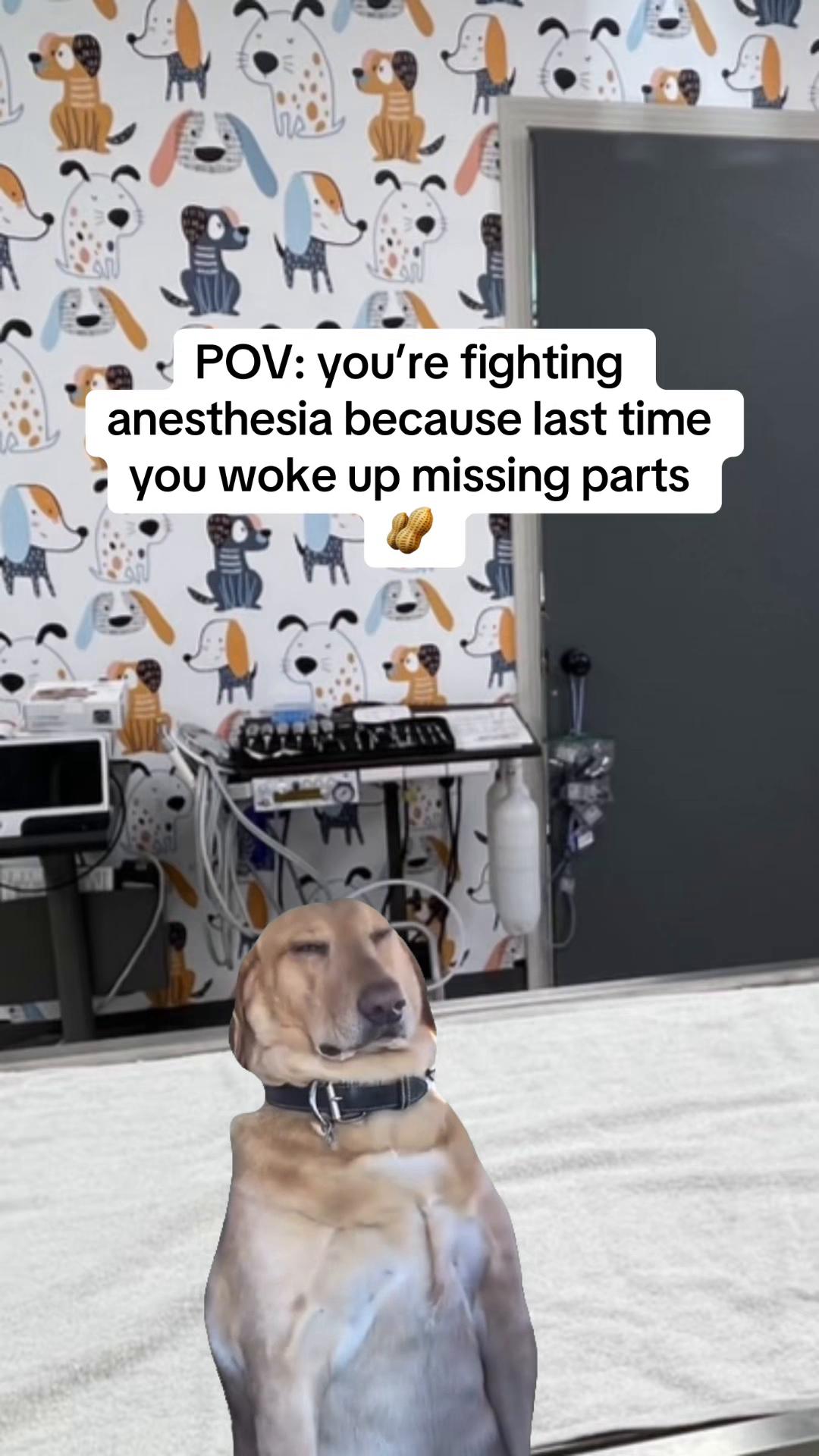 @Snodgrass Vet