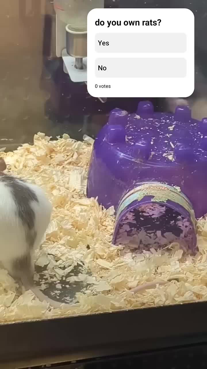 @GruntzWorkz
