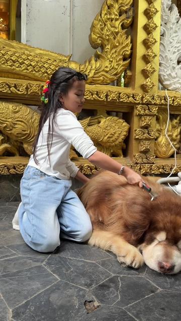 @น้องขนมปัง ปริยากร