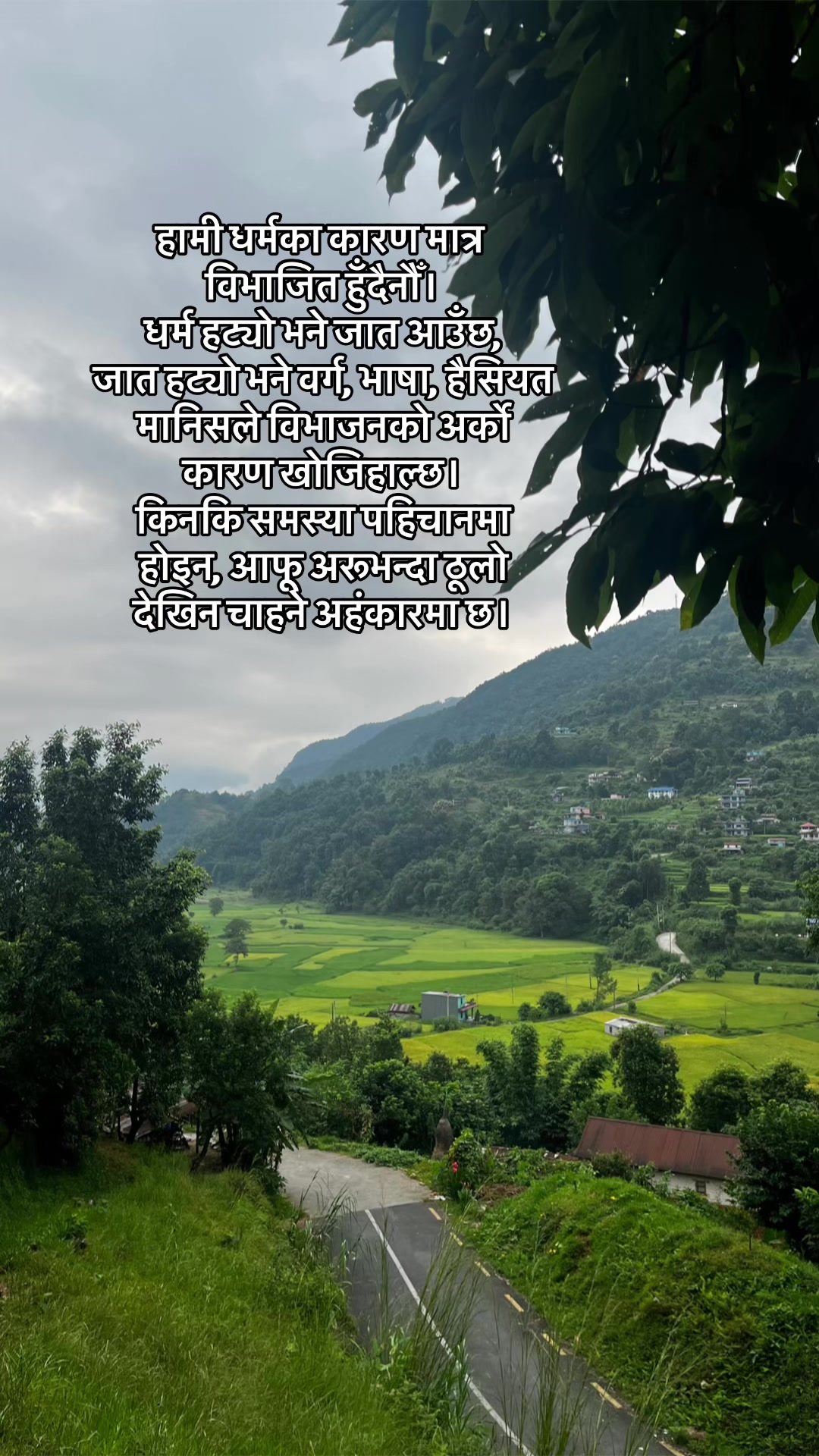 @DP.UNIVERSE