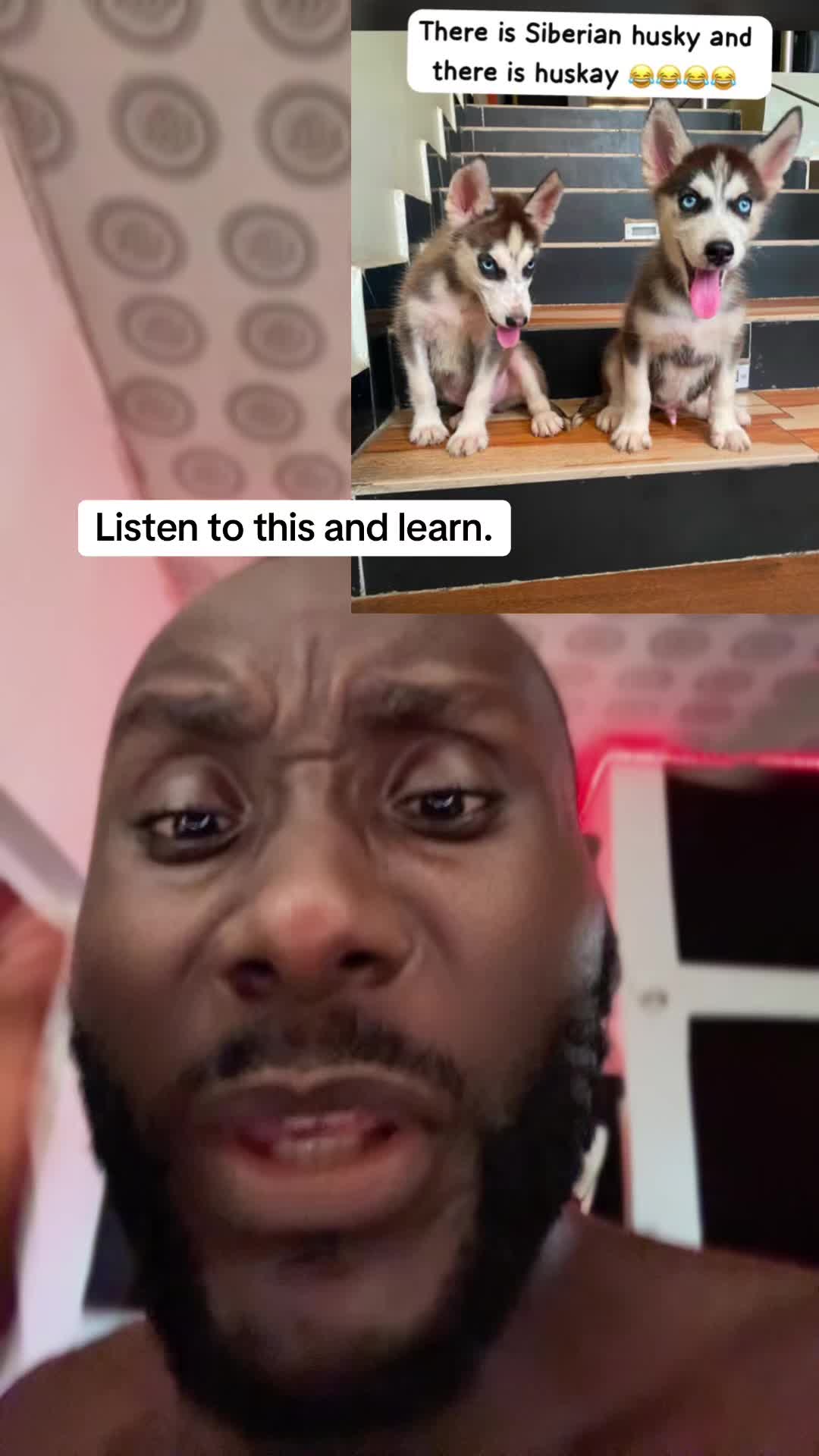 @Mothersheila_DogTv