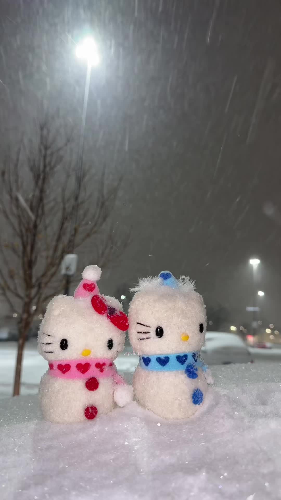 @Pelulu💗