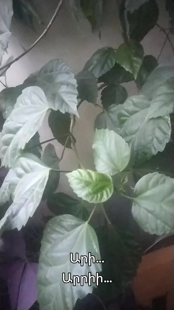 @Артур