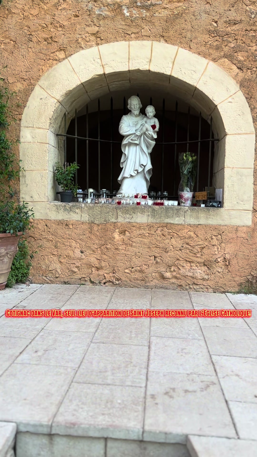 @Taco✝️⚜️🇻🇦
