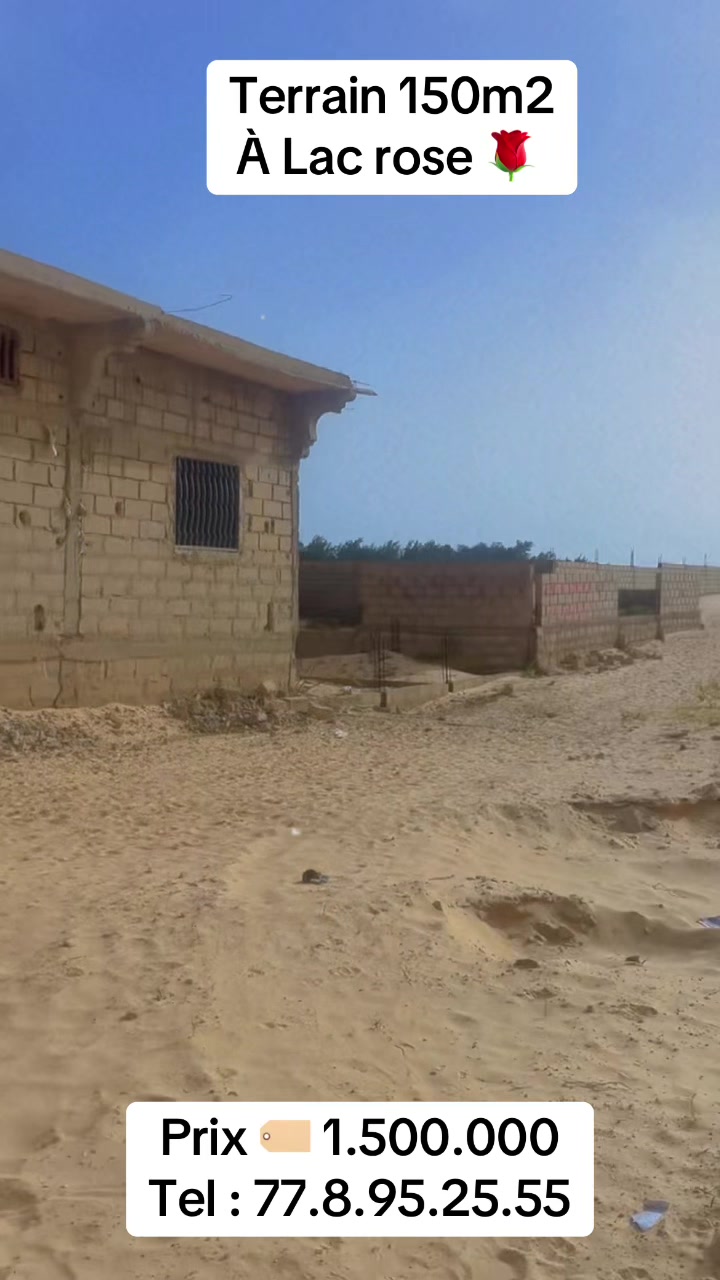 @S&eacute;n&eacute;gal dakar habitat 🇸🇳