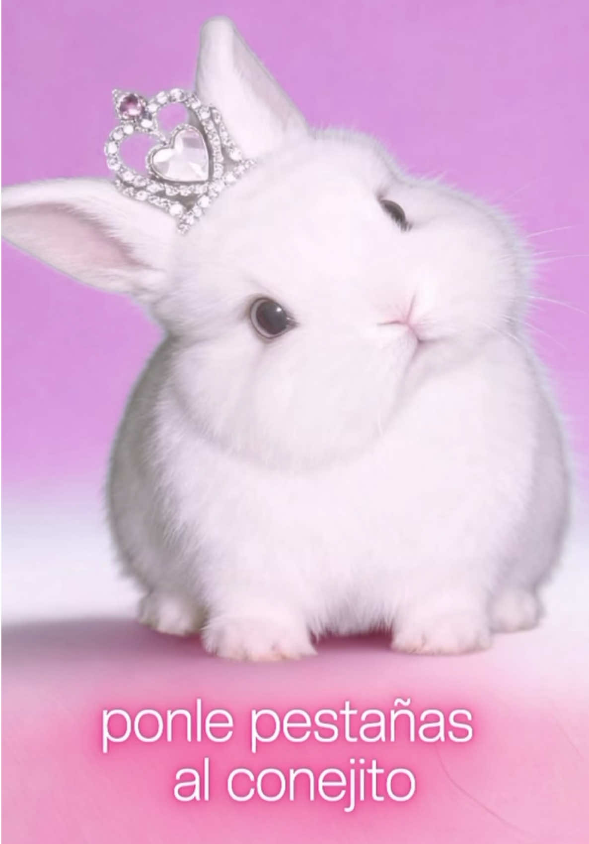 @Adas Distribuidora de Belleza