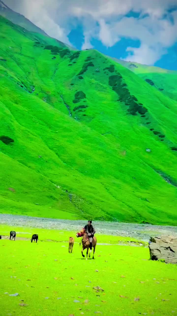 @Ahsanvista555