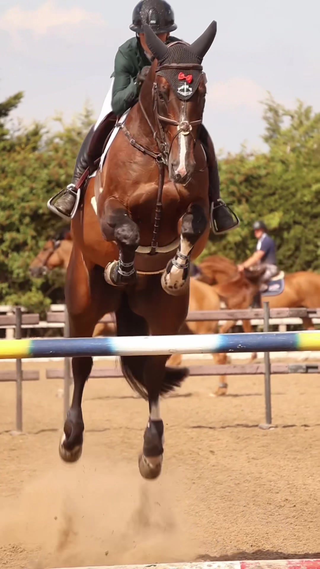@Lucy Struthers Horses