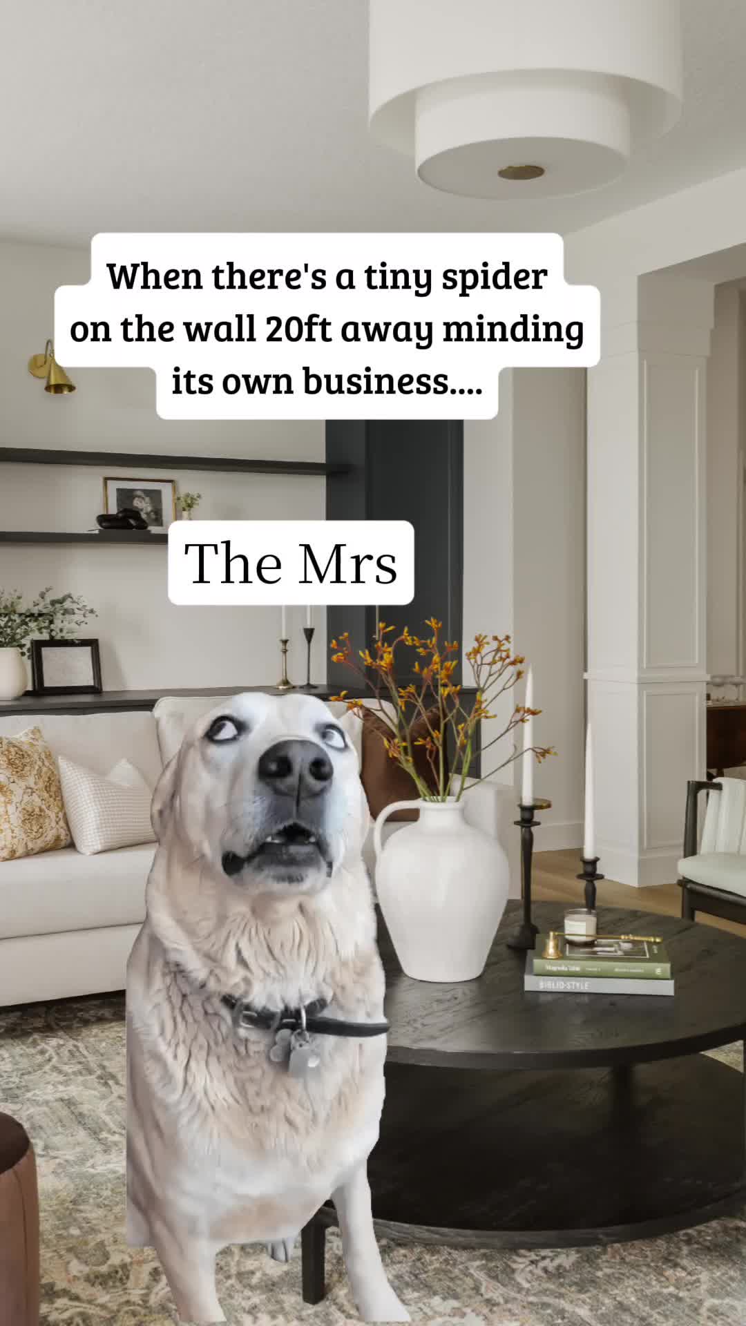 @Wₑₗₛₕ_Dₑᵥₒₙᵢₐₙ🏴