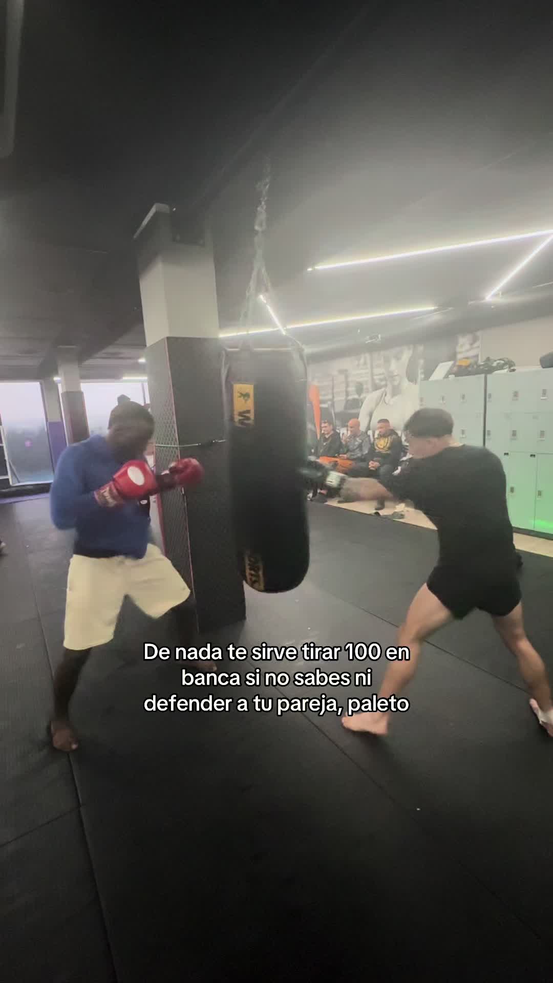 @Mai Camelo