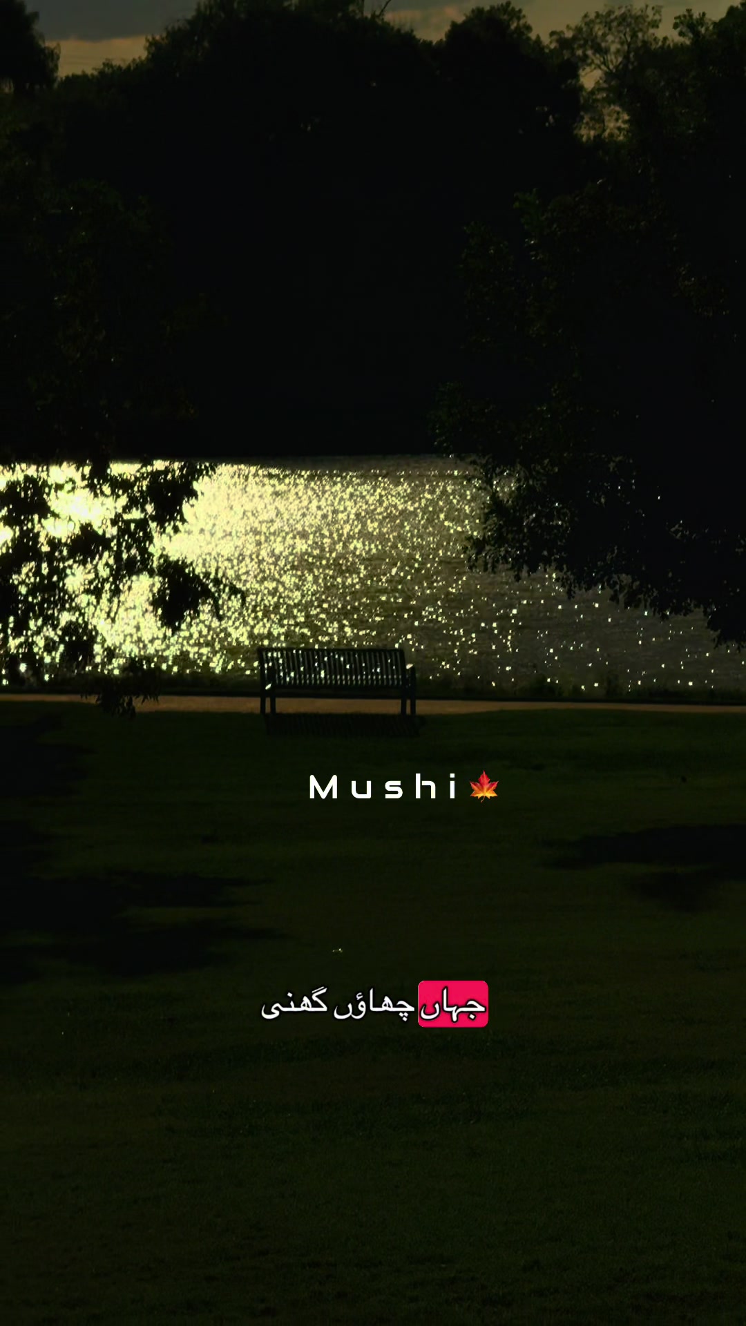 @Ayzal🍁Mushi