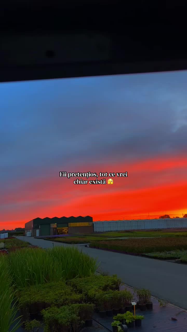 @únul_e_yuli4n🍻💫☠️