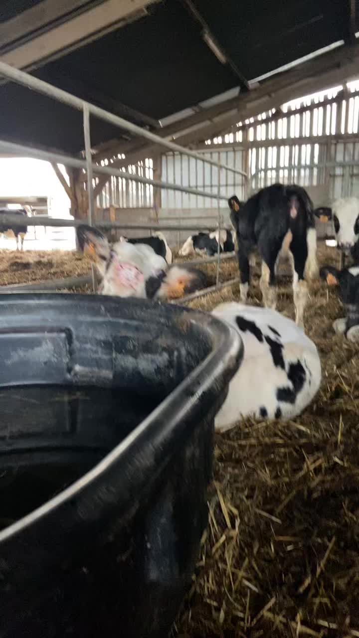 @Oceane.agri
