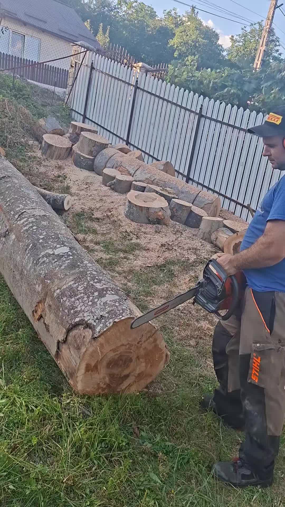 @Andrei Usturoi640