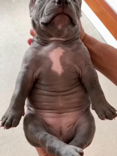 @uxifnfsiyyn