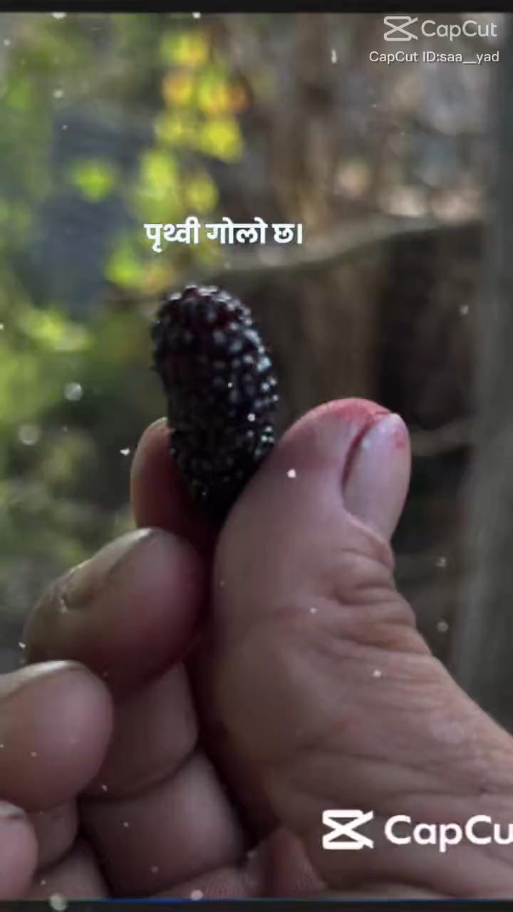 @Manisha Waiba