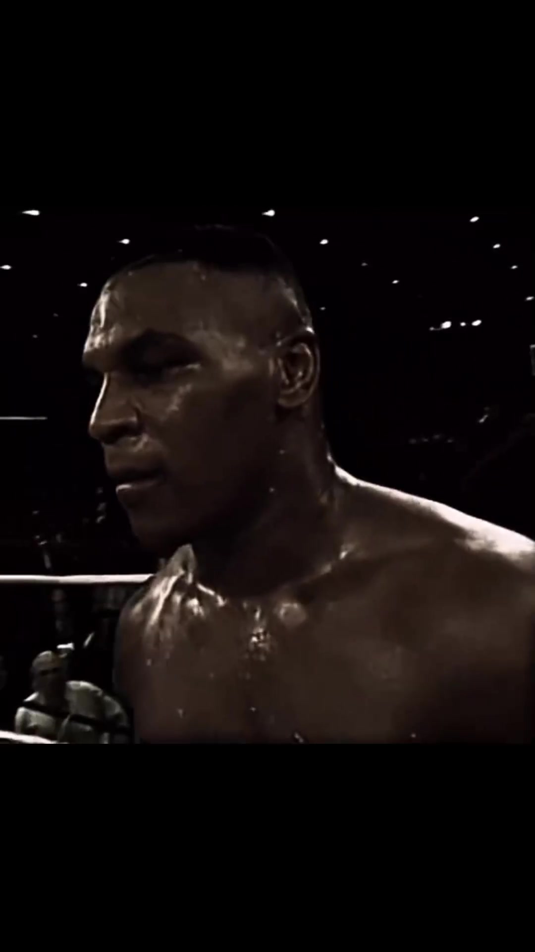 @wili*-*🥊