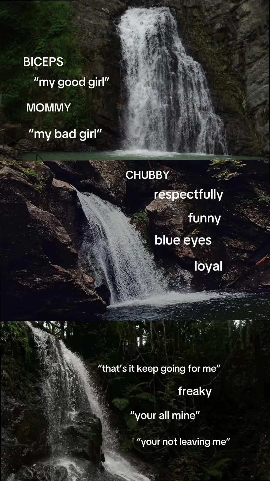 @Eleanor 🦔