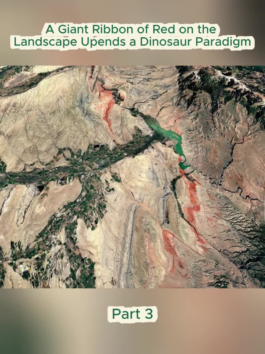 @Audits COPS US